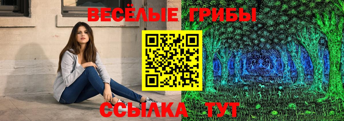 Галлюциногенные грибы Psilocybine cubensis  Вход с VPN  Балашиха 